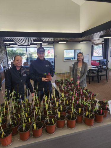 2025-03-05-First-Interstate-Plant-Starts-Amy